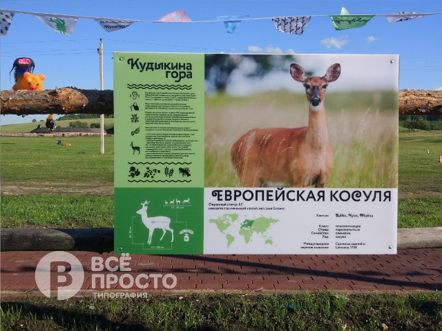 таблички для кабинетов